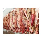 Ψυγείο Κρεάτων QM 368